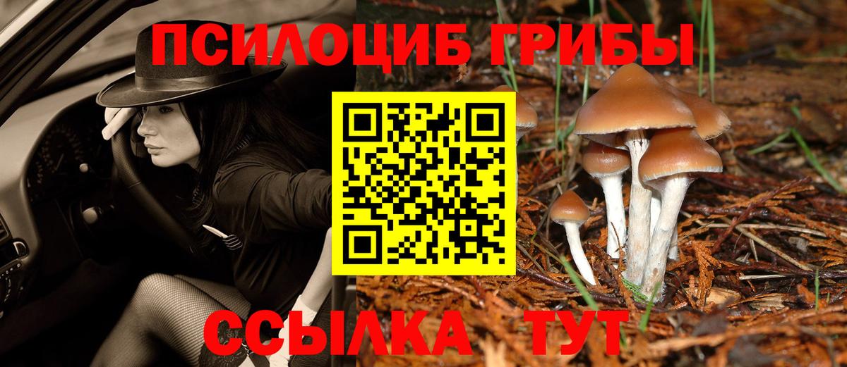 Галлюциногенные грибы Cubensis Клинцы