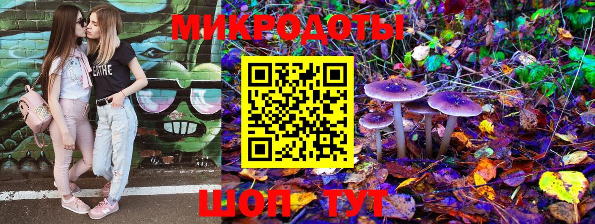 Клинцы  Псилоцибиновые грибы Psilocybe  Вход с VPN 